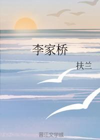 李家桥安置房项目封面