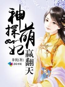 神探萌妃赢翻天封面